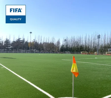 ملعب كرة القدم في مدرسة Shandong Luneng Taishan